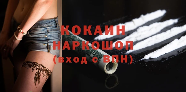 твердый Арсеньев