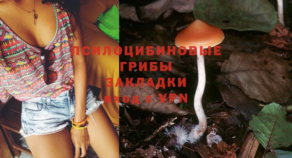 твердый Арсеньев