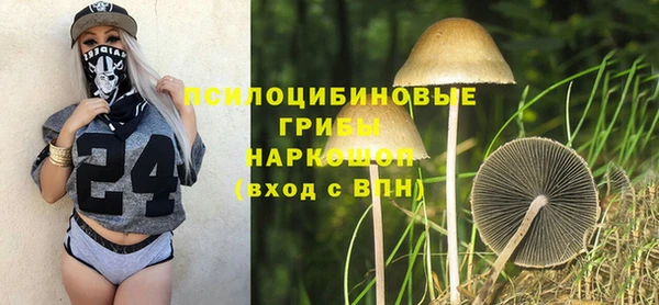 ECSTASY Армянск