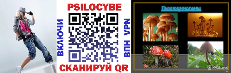 что такое   Сольцы  Галлюциногенные грибы прущие грибы 